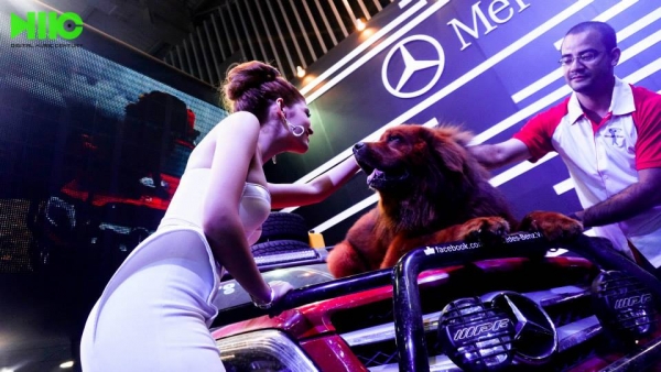 Mercedes - Benz Motoshow Vietnam 2013 - Press Tour - SECC